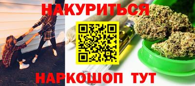прущие грибы Будённовск