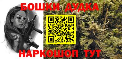 прущие грибы Будённовск
